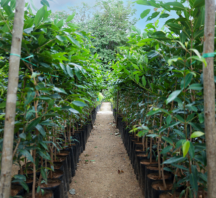 Climate hub hero image - 2